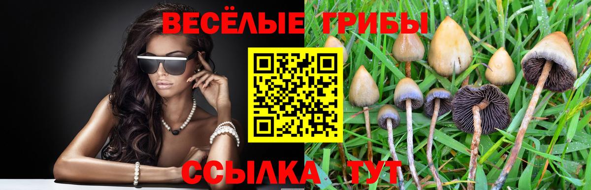 Псилоцибиновые грибы Magic Shrooms Можайск