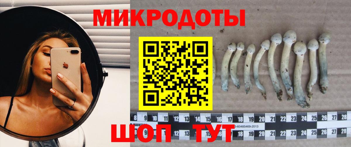 LSD-25 Можайск